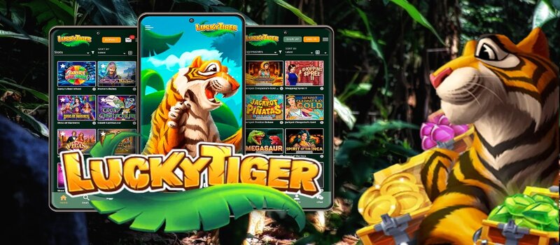 Protection without compromises: how Lucky Tiger Casino ensures player security 🔐